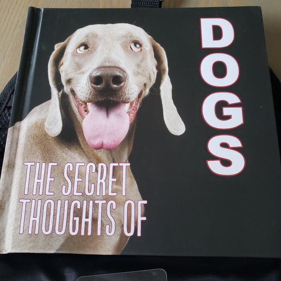 Dog bundle. - Picture 6 of 10